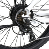 The Best Step Through Fat Tire Electric Bike for Sale