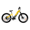 All terrian dual motor & torque sensor 48V 20AH 2000w Step Thru AWD Electric Fat Bike UrbanGlide- Sobowo