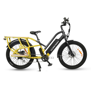 Model C19-2 Best Electric Cargo Bike of 2020