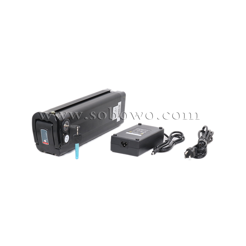Rechargeable Silverfish Lithium Battery for Electric Bikes/E-trikes