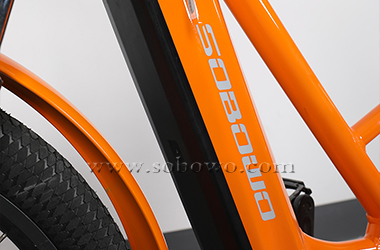sobowo electric cargo bike C19-3 integrated battery