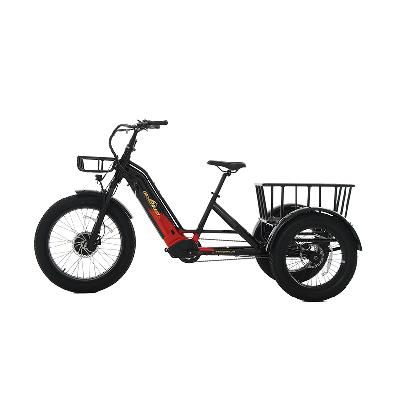 48v torque sensor 3 wheel cargo electric bike 1500w dual motor tricycle electric bike 24 inch kenda etrike