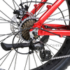 Mid Drive Step Through Fat Tire Electric Bike for Men And Women