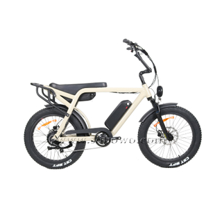 24 Inch Fat Tire 500w 750W Retro Electric Bike Motorbike E Bicycle with Long Seat
