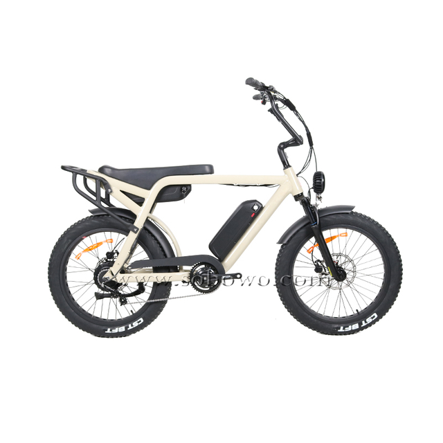 24 Inch Fat Tire 500w 750W Retro Electric Bike Motorbike E Bicycle with Long Seat