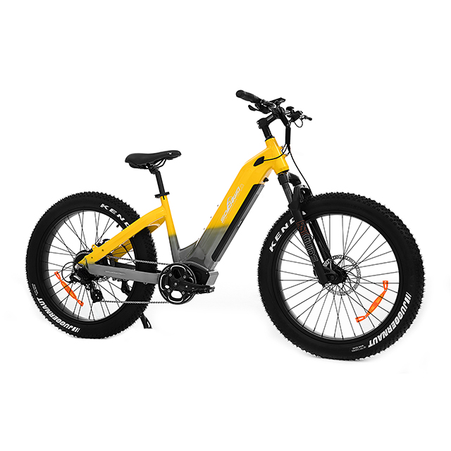 All terrian dual motor & torque sensor 48V 20AH 2000w Step Thru AWD Electric Fat Bike UrbanGlide- Sobowo
