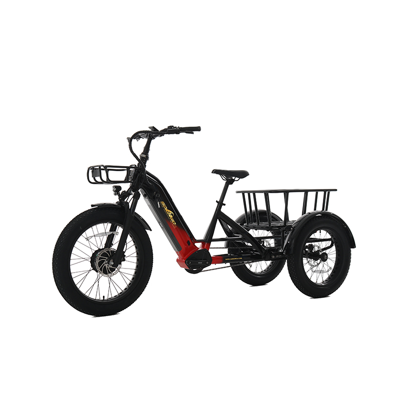 48v torque sensor 3 wheel cargo electric bike 1500w dual motor tricycle electric bike 24 inch kenda etrike