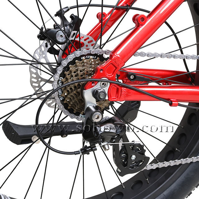Mid Drive Step Through Fat Tire Electric Bike for Men And Women