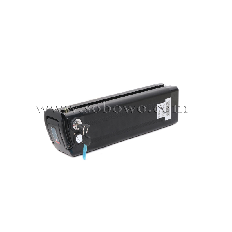 Rechargeable Silverfish Lithium Battery for Electric Bikes/E-trikes
