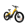 All terrian dual motor & torque sensor 48V 20AH 2000w Step Thru AWD Electric Fat Bike UrbanGlide- Sobowo