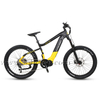 750w/1000w Powerful Bafang M620 Mid Drive Motor Off-road Fat Electric Bike for Sale