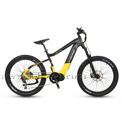 750w/1000w Powerful Bafang M620 Mid Drive Motor Off-road Fat Electric Bike for Sale