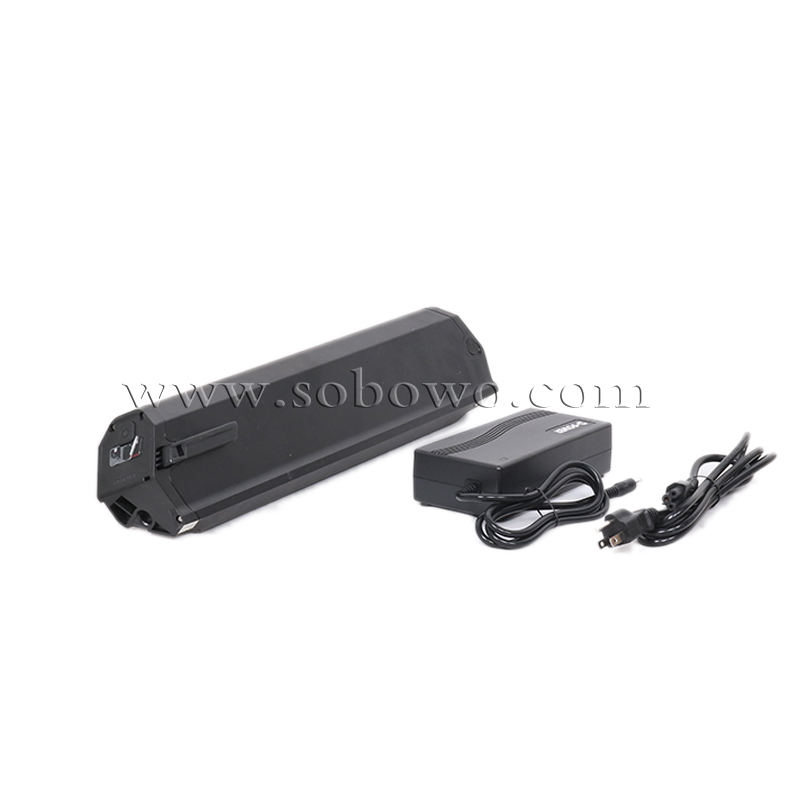 Rechargeable Dorado Lithium Battery for Electric Bikes/E-trikes