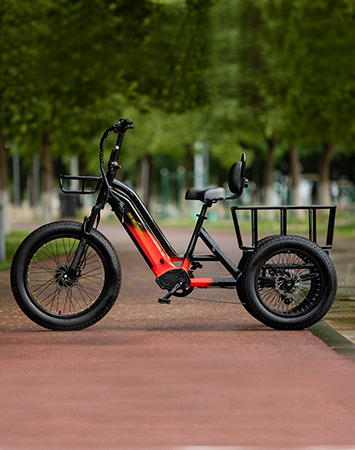 sobowo WN01 electric fat tricycle
