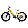 All terrian dual motor & torque sensor 48V 20AH 2000w Step Thru AWD Electric Fat Bike UrbanGlide- Sobowo