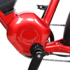Mid Drive Step Through Fat Tire Electric Bike for Men And Women