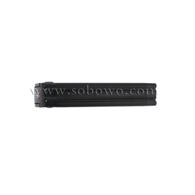 Rechargeable Silverfish Lithium Battery for Electric Bikes/E-trikes