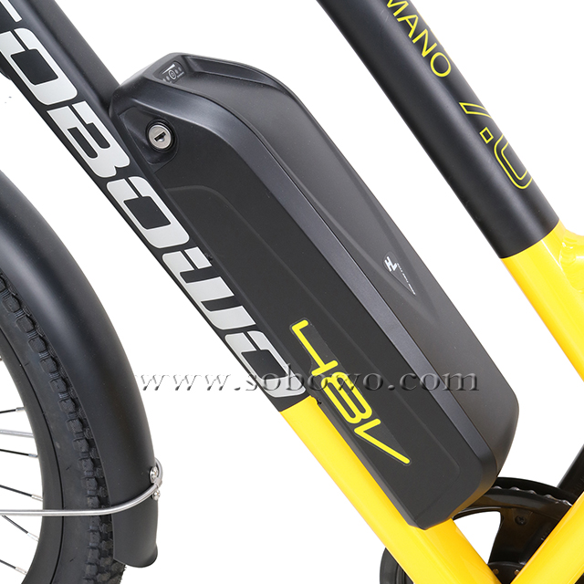 sobowo cargo electric bike C19 battery