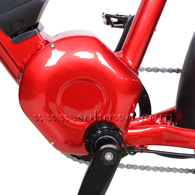 Mid Drive Step Through Fat Tire Electric Bike for Men And Women