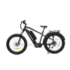 All Terrain 1000W Mid Drive Dual Battery Fat E Bike