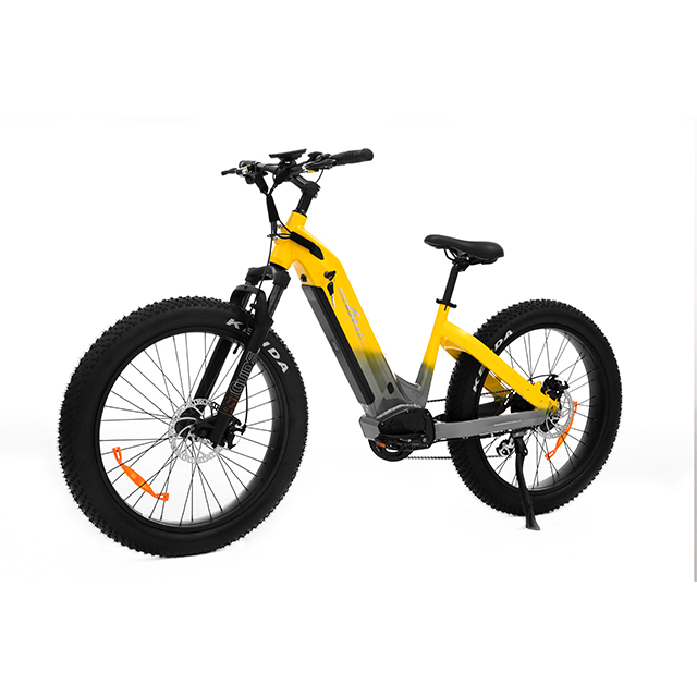 All terrian dual motor & torque sensor 48V 20AH 2000w Step Thru AWD Electric Fat Bike UrbanGlide- Sobowo