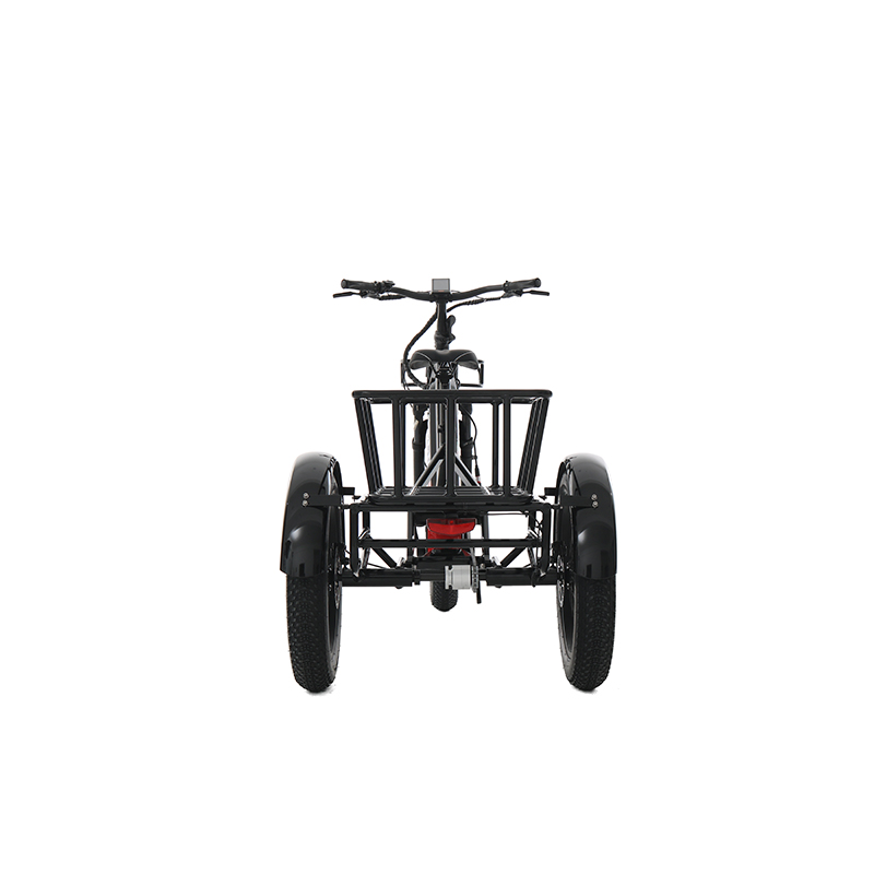 48v torque sensor 3 wheel cargo electric bike 1500w dual motor tricycle electric bike 24 inch kenda etrike