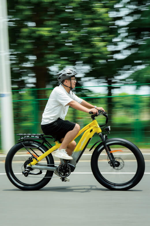 sobowo electric bike