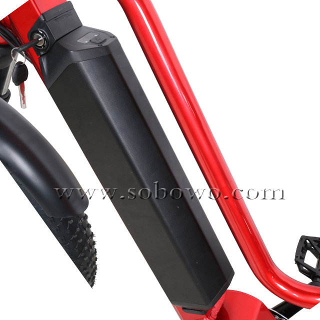Mid Drive Step Through Fat Tire Electric Bike for Men And Women