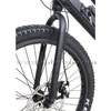 Model C19-1 Dual Batteries Long Range Fat Tire Electric Cargo E Bike 
