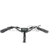 Mid Drive Step Through Fat Tire Electric Bike for Men And Women