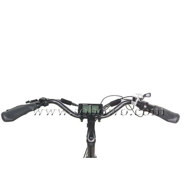 Mid Drive Step Through Fat Tire Electric Bike for Men And Women