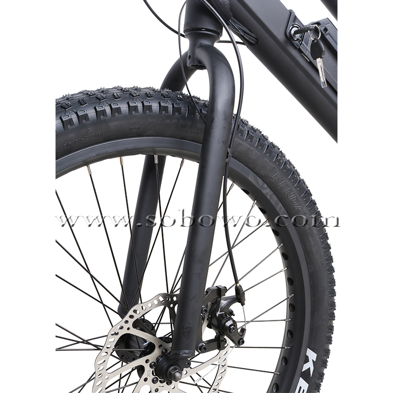 Model C19-1 Dual Batteries Long Range Fat Tire Electric Cargo E Bike 