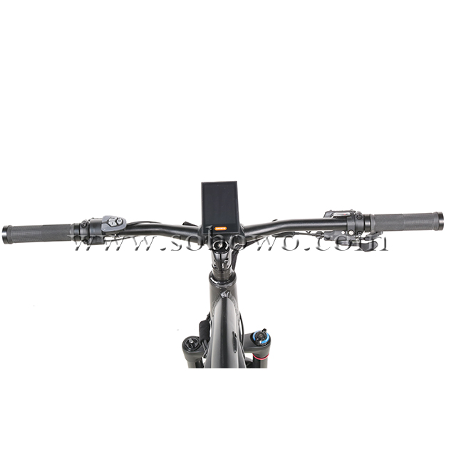 750w/1000w Powerful Bafang M620 Mid Drive Motor Off-road Fat Electric Bike for Sale
