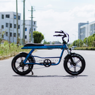 Model S68 Unique Designed Powerful Dual Batteries Electric Cargo Bike