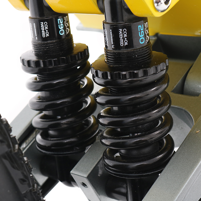 electric scooter dual shock