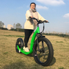 SOBOWO S78 Tyranno 750W Powerful Hub Motor with Hidden Battery Fat Tyre Off Road Electric Scooter