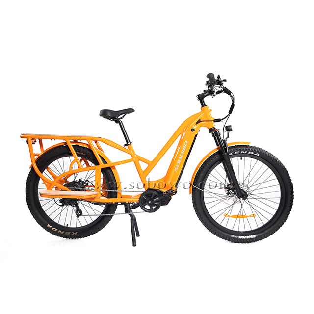 Best Electric Cargo Bike 2023 Model C19-3 - Sobowo.jpg