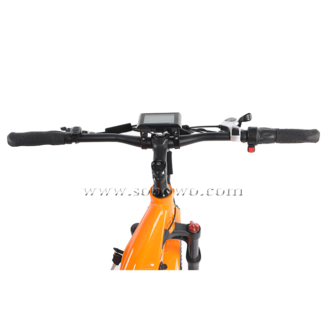 Best Electric Cargo Bike 2023 Model C19-3 - Sobowo