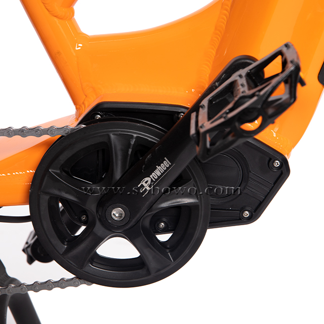 Best Electric Cargo Bike 2023 Model C19-3 - Sobowo
