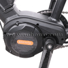  Powerful 750W/1000W Bafang ULTRA Mid Motor Three Wheel Fat Tire Bicycle/ Electric Tricycle for Adults