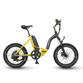 20 Inch Fat Tire Folding Electric Bike 