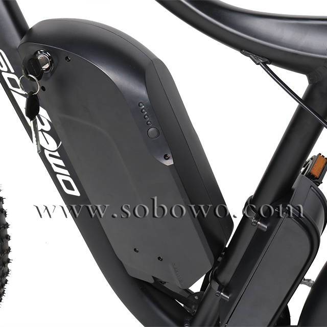 Cheap Fat Tire Electric Bike for Sale
