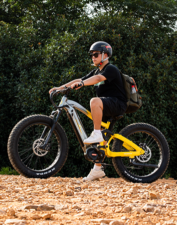 Q7-19 full suspension electric bike