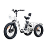 Front Drive 500W Fat Tire Electric Tricycle for Adults N4-F - Sobowo
