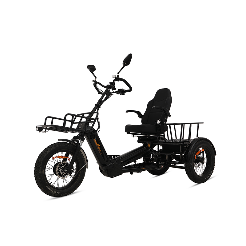 2000W 200Nm Torque 130Ah Semi-Recumbent Electric Tricycle - Sobowo Mike Cruiser 2024