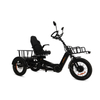 2000W 200Nm Torque 130Ah Semi-Recumbent Electric Tricycle - Sobowo Mike Cruiser 2024