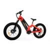 24 Inch Kenda All Terrain Fat Tire Dual Motor Mtb for Short Riders TwinTread - Sobowo