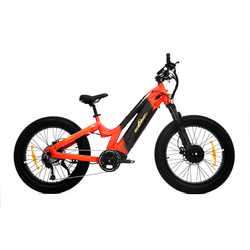 24 Inch Kenda All Terrain Fat Tire Dual Motor Mtb for Short Riders TwinTread - Sobowo