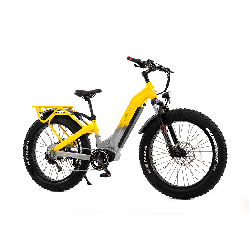 Step Thru All Terrain Dual Motor&Torque Sensor Shimano Fat Tire Women Electric Bike UrbanCruiser - Sobowo