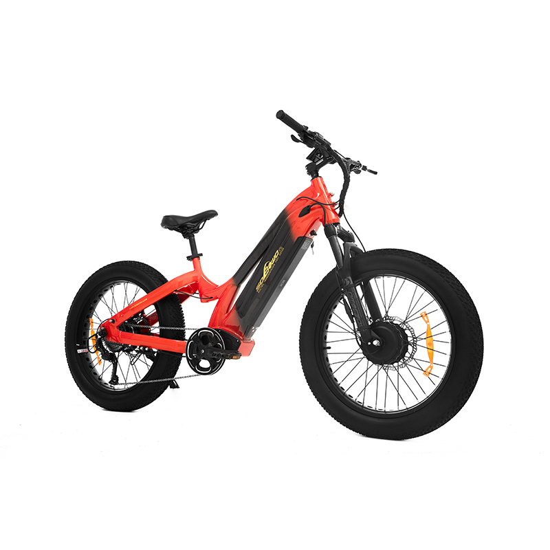 24 Inch Kenda All Terrain Fat Tire Dual Motor Mtb for Short Riders TwinTread - Sobowo